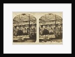 View in the Egyptian Court, Crystal Palace, Sydenham by The London Stereoscopic Company