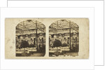 View in the Egyptian Court, Crystal Palace, Sydenham by The London Stereoscopic Company