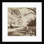 Unter den Linden Berlin by Johann Friedrich Stiehm