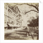 Unter den Linden Berlin by Johann Friedrich Stiehm