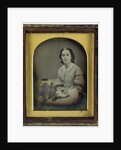 Portrait of a Young Woman by Anonymous