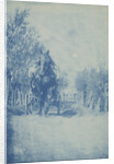 Young man in horse cart by Anonymous