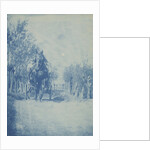 Young man in horse cart by Anonymous