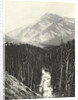 View over Kicking Horse Canyon by William Notman