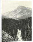 View over Kicking Horse Canyon by William Notman