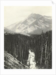 View over Kicking Horse Canyon by William Notman
