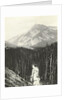 View over Kicking Horse Canyon by William Notman