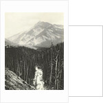 View over Kicking Horse Canyon by William Notman
