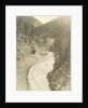 View of Kicking Horse Canyon and the Canadian Pacific Railway by William Notman