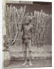 Portrait of a Java, Indonesianese man with collected wood, Indonesia by Anonymous