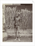 Portrait of a Java, Indonesianese man with collected wood, Indonesia by Anonymous