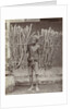 Portrait of a Java, Indonesianese man with collected wood, Indonesia by Anonymous