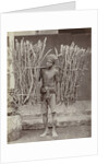 Portrait of a Java, Indonesianese man with collected wood, Indonesia by Anonymous