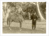 Portrait of a soldier with horse in the Dutch East Indies, Indonesia by Anonymous