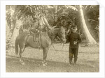 Portrait of a soldier with horse in the Dutch East Indies, Indonesia by Anonymous