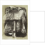 Embroidered Saddle by Hugh Owen