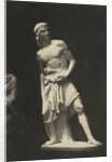 David. (Marble) Fraccaroli by Anonymous