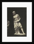David. (Marble) Fraccaroli by Anonymous