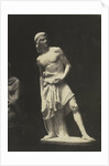 David. (Marble) Fraccaroli by Anonymous