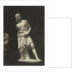 David. (Marble) Fraccaroli by Anonymous