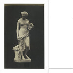 Glycera by C.M. Ferrier & F. von Martens