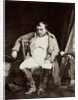 A Napoleon Fontainebleau by Paul Delaroche