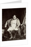 A Napoleon Fontainebleau by Paul Delaroche