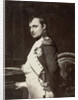 Napoleon dans son cabinet by Paul Delaroche