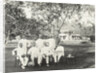 Group of men, possibly for Government Palace in Batavia Jakarta, Indonesia by Anonymous