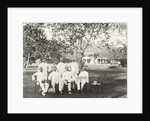 Group of men, possibly for Government Palace in Batavia Jakarta, Indonesia by Anonymous