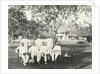 Group of men, possibly for Government Palace in Batavia Jakarta, Indonesia by Anonymous