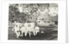 Group of men, possibly for Government Palace in Batavia Jakarta, Indonesia by Anonymous