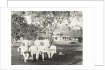 Group of men, possibly for Government Palace in Batavia Jakarta, Indonesia by Anonymous