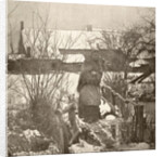 Woman on a bridge in a winter landscape by Peter Henry Emerson