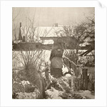 Woman on a bridge in a winter landscape by Peter Henry Emerson