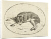 Lying dog by Anthonie van den Bos