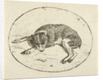 Lying dog by Anthonie van den Bos