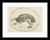 Lying dog by Anthonie van den Bos