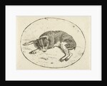 Lying dog by Anthonie van den Bos