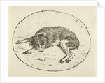 Lying dog by Anthonie van den Bos