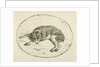 Lying dog by Anthonie van den Bos