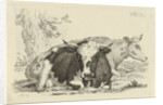 Two cows lying in front of a tree by Anthony Oberman