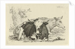 Two cows lying in front of a tree by Anthony Oberman