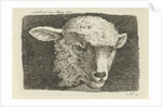 Head of a lamb by Anthony Oberman