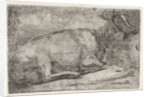 lying goat by Jabes Heenck