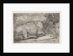 lying goat by Jabes Heenck