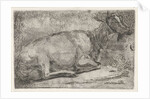 lying goat by Jabes Heenck