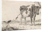 Cow standing in pasture by Johannes Christiaan Janson