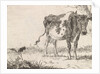 Cow standing in pasture by Johannes Christiaan Janson