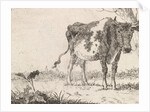 Cow standing in pasture by Johannes Christiaan Janson